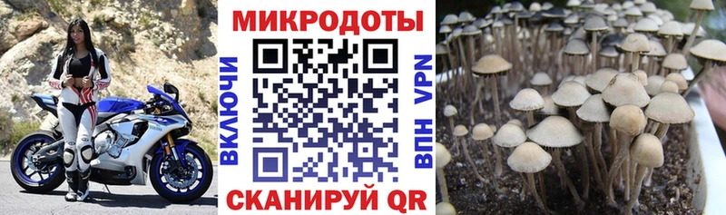 Галлюциногенные грибы ЛСД  Лагань 